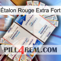 Étalon Rouge Extra Fort kamagra1